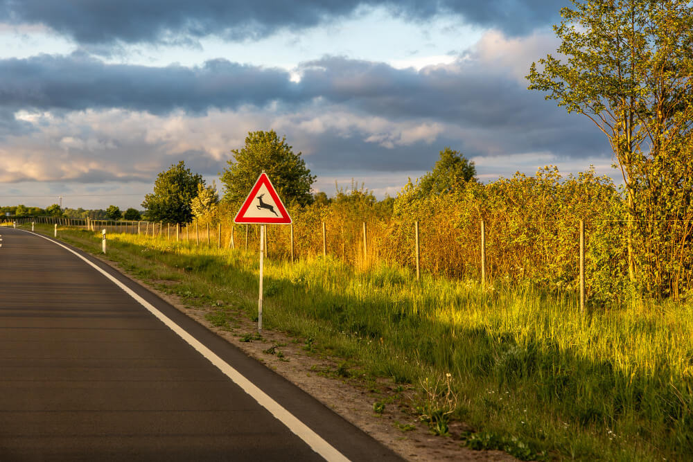 Znaki ostrzegawcze drogowe - co mówią przepisy?